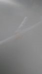 IMG_20190614_141818.jpeg