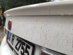 IMG-20191005-WA0011.jpeg