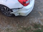 IMG_1550.JPG IMG_1550.JPG