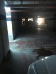IMG_0376.JPG IMG_0376.JPG