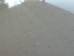 IMG_20200511_103310.jpeg