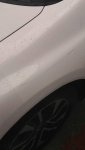 IMG_20200619_144229.jpeg
