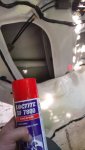 IMG_20200827_154509.jpeg