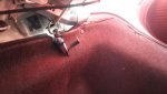 20160404_113709.jpg