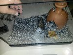 20160811_194557.jpg
