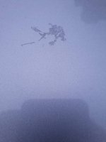 20201103_140320.jpeg