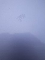 20201103_140323.jpeg