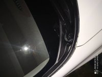 IMG_20201111_230036.jpeg