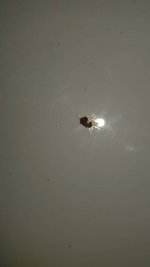 20201120_170607.jpeg