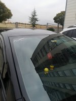 IMG_20201204_144609.jpeg