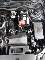 20201216_140636.jpg