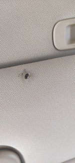 IMG_20201226_132251.jpg