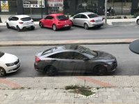 IMG_7558.jpeg