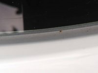 IMG_20210427_162440.jpeg