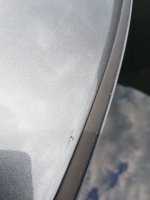 IMG_20210704_133556.jpg
