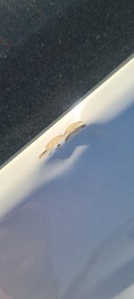 20220801_180155.jpg