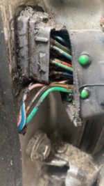 CE0FD8CF-288B-4840-ADF4-ACEF88026310.jpg CE0FD8CF-288B-4840-ADF4-ACEF88026310.jpg
