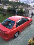 IMG_5901.jpg