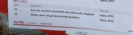 IMG_4502.jpeg