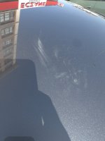 IMG_3920.jpeg