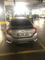 IMG_8313.jpeg