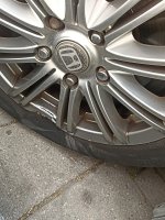 IMG_20240622_155152.jpg