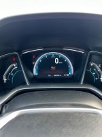 IMG_2835.jpeg