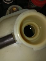 IMG20250326150524.jpg