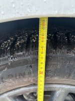IMG_4437.jpeg