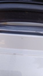 20250420_170739.jpg