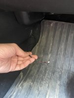 IMG_5434.jpeg