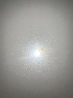 IMG_1944.jpeg