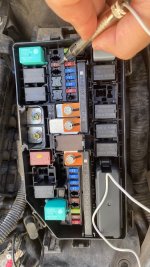 IMG_3682.jpeg