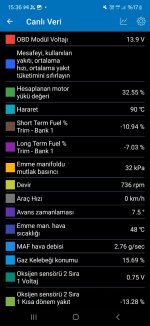 Screenshot_20260110_153612_Car Scanner.jpg