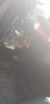 20180827_130307.jpg