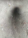 IMG_20181124_125614.jpeg