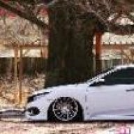 tayra_06