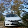 Salv0544
